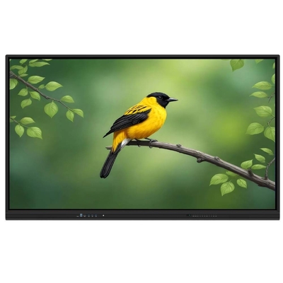 LCD Akıllı Tahta 110 Inç Android Win OPS PC Ses VGA USB RJ45 WIFI Eğitimli Eğitim Makinesi Araçları Yazılım