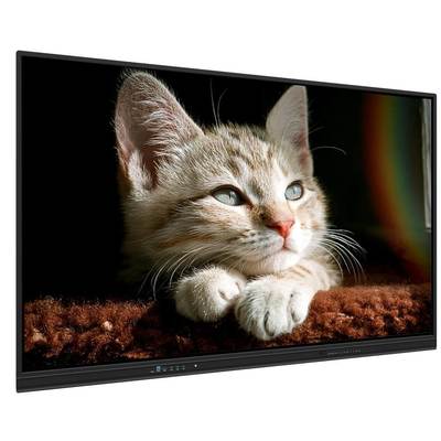 65 İnç Etkileşimli Akıllı Tahta, Android/Windows/Linux/Mac/Chrome OS ve Kablosuz Projeksiyon