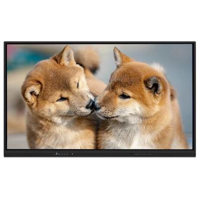 Okullar ve ofisler için Android 15 ve WiFi 6 ile 75 inçlik interaktif düz panel akıllı pano