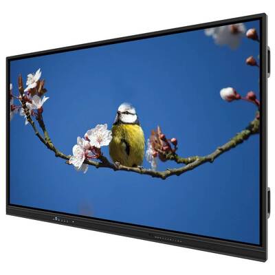EDLA Akıllı Dokunmatik Monitör 65 Inç Öğretim ve Toplantılar için Çoklu OS Destek