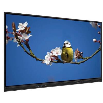 EDLA Akıllı Dokunmatik Monitör 65 Inç Öğretim ve Toplantılar için Çoklu OS Destek