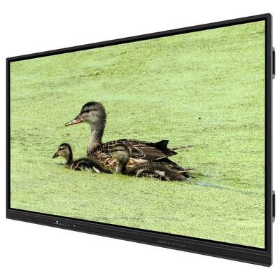 75 inç All in one Interactive whiteboard Okul Ofisi Konferansı için akıllı panolar