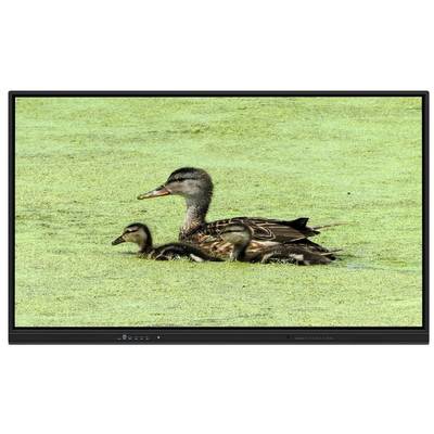 Öğretim ve toplantılar için 8+128G depolama ve kızılötesi dokunuşlu 65 inç All In One etkileşimli beyaz tahta