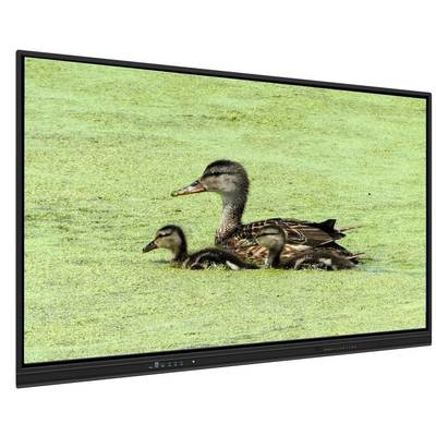 Öğretim ve toplantılar için 8+128G depolama ve kızılötesi dokunuşlu 65 inç All In One etkileşimli beyaz tahta