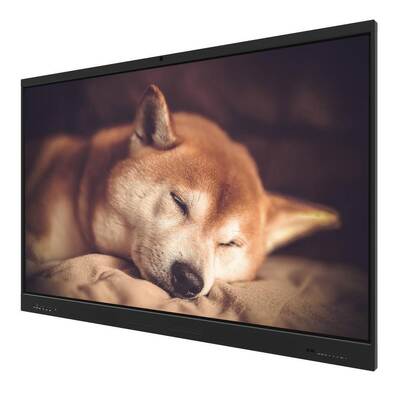 65 Inch Interactive Flat Panel USB Wifi Whiteboard AI Yazılımı Android Monitor