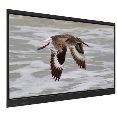 Iboard Interactive Whiteboard Android 15 EDLA Google 65/75/86 Inch Touch Panel ve E-Öğrenim için Çift OS ile sertifikalandırılmıştır