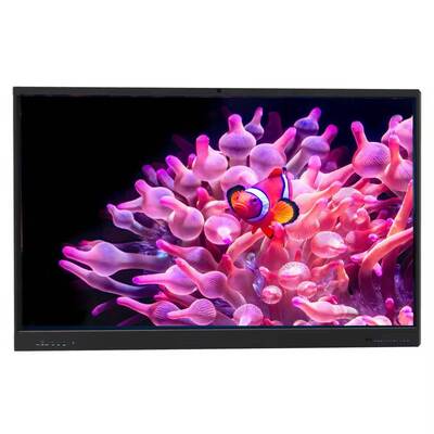 75 İnç 4K Çözünürlüklü 40 Nokta Dokunmatik Etkileşimli Düz Panel Akıllı Beyaz Tahta (Sınıf Kullanımı İçin)