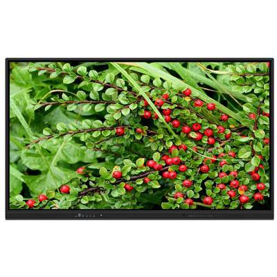 75 İnç oem etkileşimli beyaz tahta, Evde Eğitim Zoom Toplantıları için Hoparlörlü