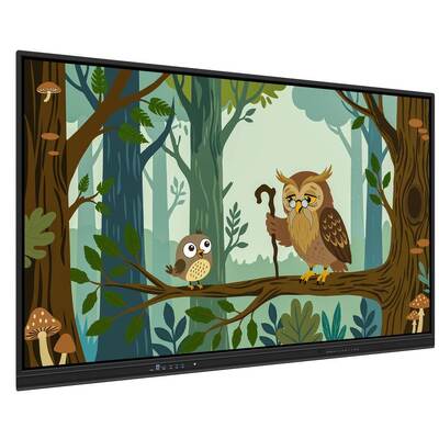 75 Inç Android 4K LED Interactive Board Parmak Dokunuşlu USB Projeksiyon Tahta