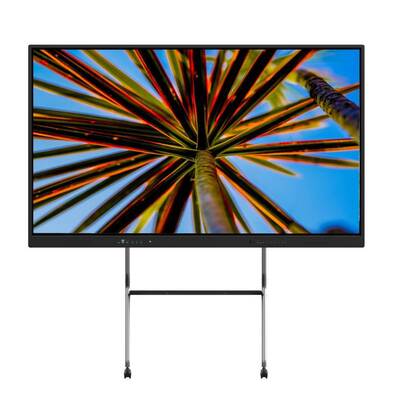 Iboard 75 Inch USB HDMI Akıllı Dokunmatik Panel Kayıt Kamera Mikrofon Sınıf İçin Yazılım
