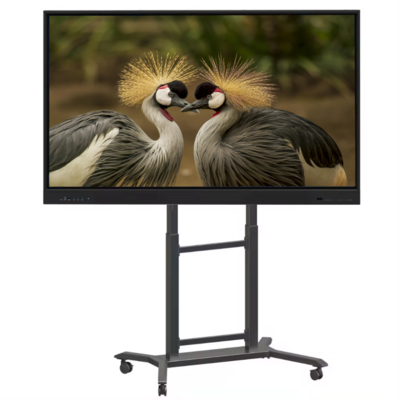 Üretici IBoard 65 Inch Interactive Whiteboard Smart Board Interactive Flat Panel Smart Digital Touch Screen Dual System Okul Öğretim Ofisi için